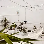 Cool Canaria