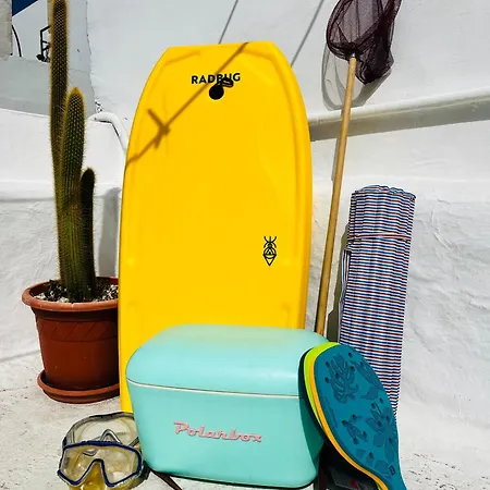 Cool Canaria * Agaete (Gran Canaria)