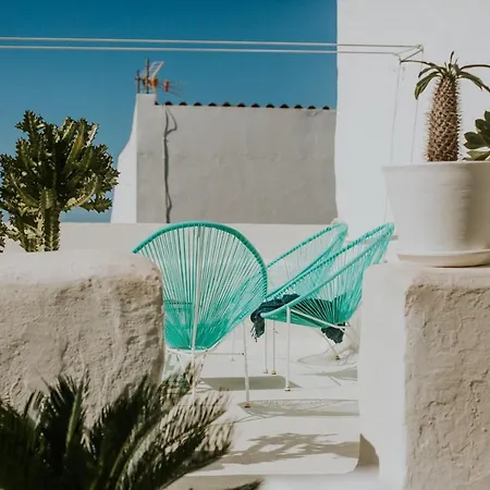 Cool Canaria *
