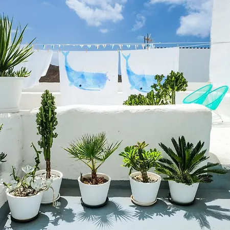 Feriehus Cool Canaria *